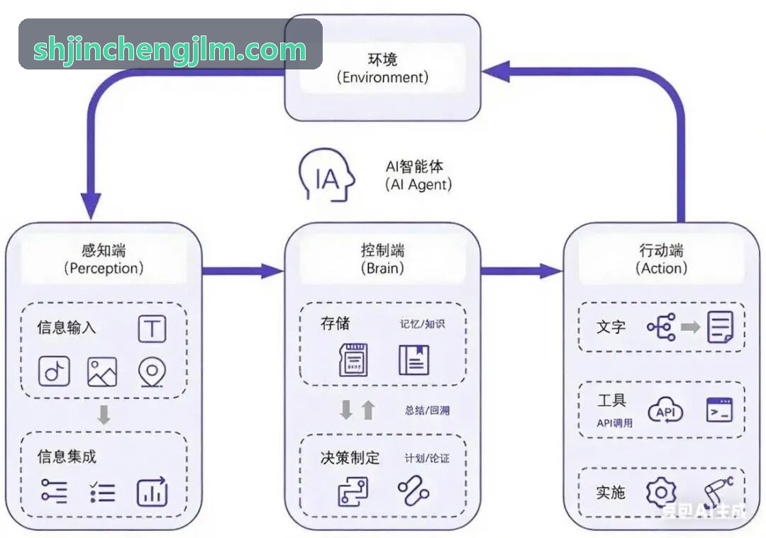 J9多肽结合口袋分子对接三维电荷云图